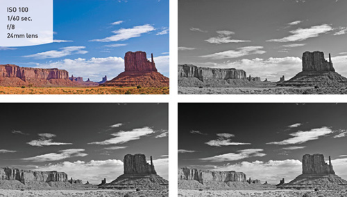 Adding color filter settings to the Monochrome picture style allows you to brighten or darken elements in your scene. The top right image has no filter applied to it. The bottom left has a green filter, and the bottom right has an orange filter.