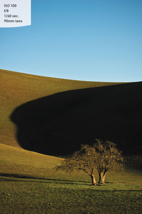 The tree, shadow, sloping hills, and sky all add to the feeling of depth in the image.