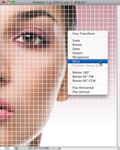 Fashion Warped Grid Technique