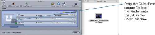 Importing Source Media