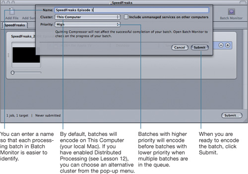 Using Batch Monitor