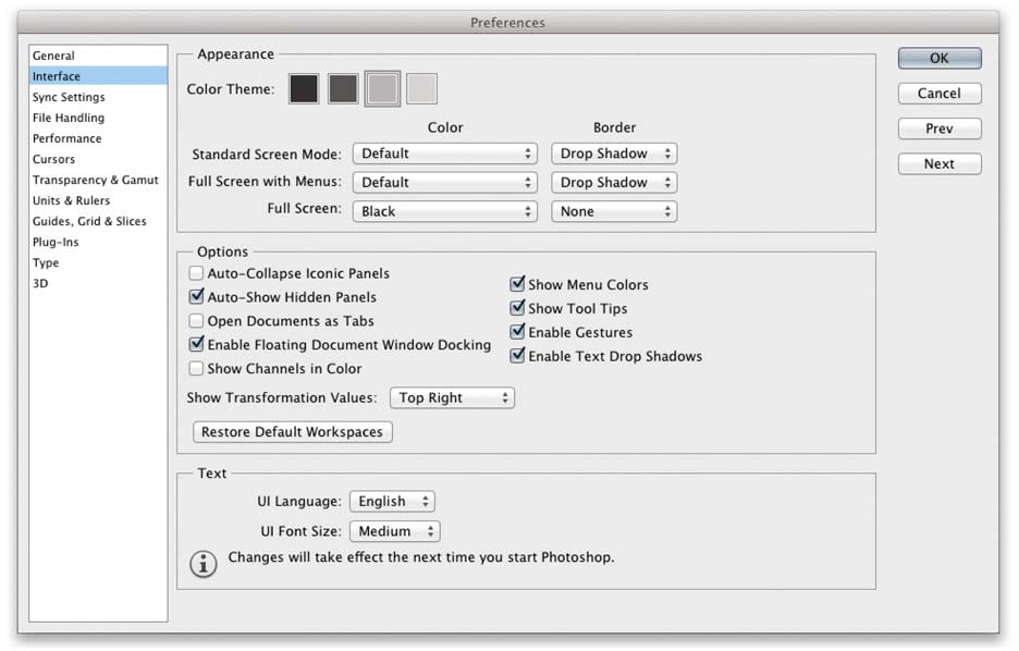 Figure 2.11 Interface preferences.