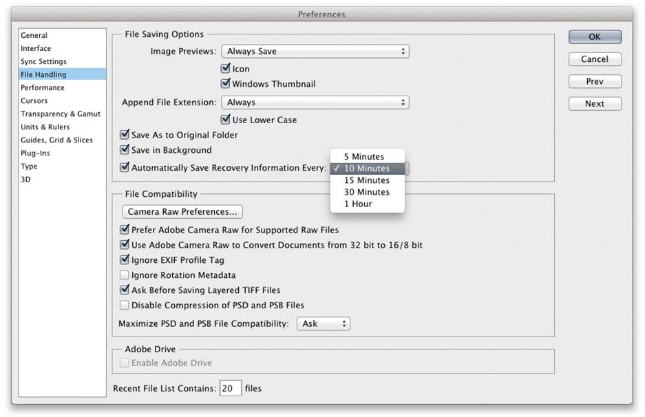 Figure 2.15 The File Handling preferences.