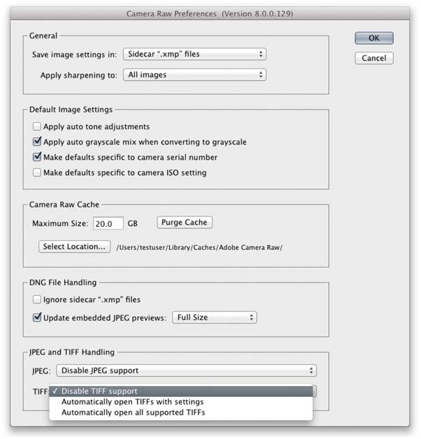 Figure 2.16 This shows the Camera Raw preferences dialog with the JPEG and TIFF handling options at the bottom.