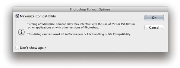 Figure 2.17 The Photoshop Format Options dialog.