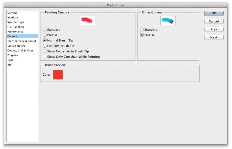 Figure 2.24 The Display & Cursors preferences.