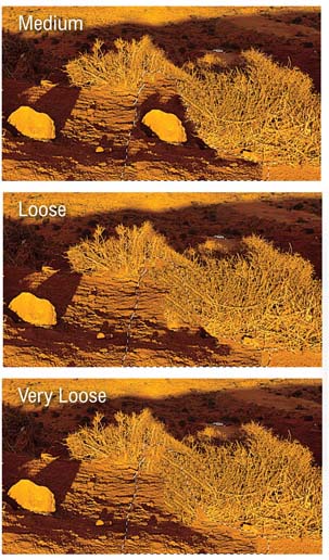 Figure 8.14 Examples of content-aware fill outcomes using different adaptation methods.