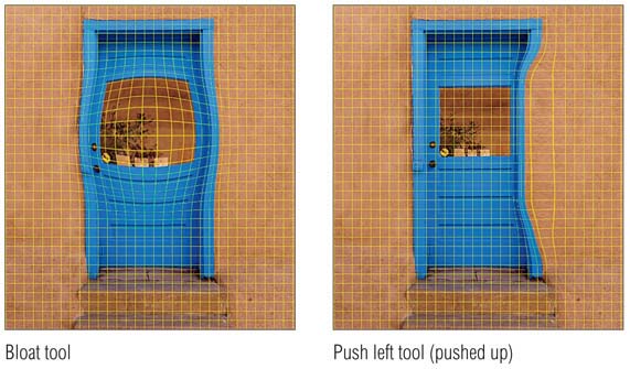 Figure 8.17 These illustrations give you an idea of the range of distortion effects that can be achieved using the Liquify tools listed on page 522.