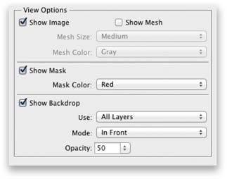 Figure 8.23 The Liquify View options.