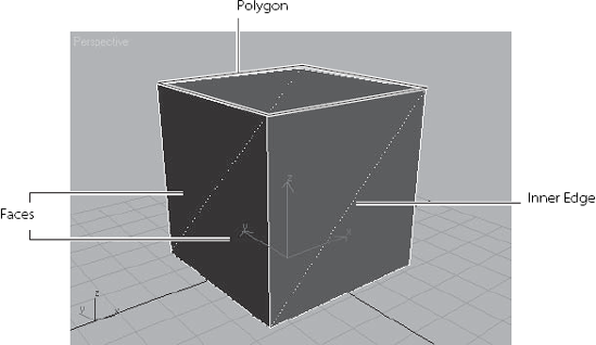 Polygon faces on this box have three edges or sides, making them triangular. A Polygon on this box has four edges, or sides, making it a square.