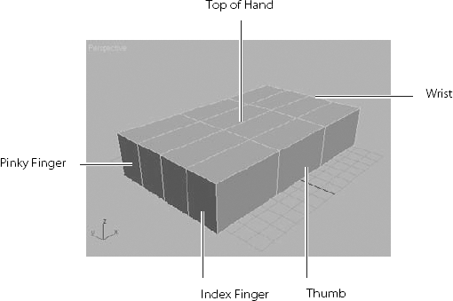 The box will be the palm of the hand, and the fingers will be extruded from the polygons facing you.