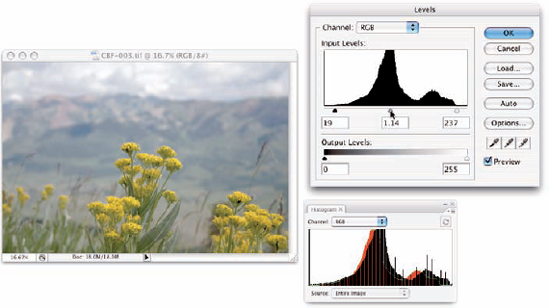 Compare the Levels histogram and the Histogram palette.
