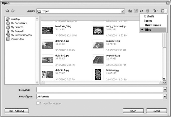 The Tiles view in the Adobe version of the Open dialog box offers enlarged image icons and file information that rivals the familiar Details view's list of file statistics.