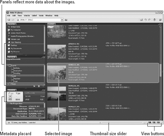 In Metadata Focus view, you see more information than images.