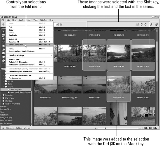 Select a contiguous group of images with the Shift key, or use Ctrl ( on the Mac) to collect non-contiguous images from those currently displayed as thumbnails.