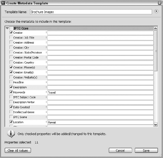 Pick the IPTC data you want to see, and give your template a name.