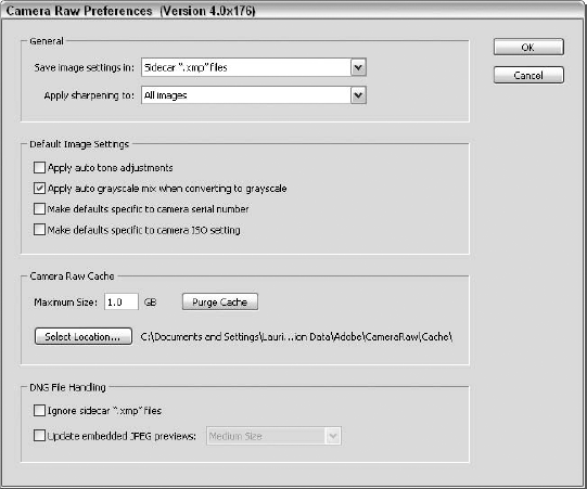 Customize where and how Camera Raw preferences are applied.