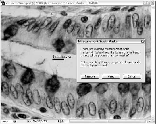 Remove or Keep your existing scale markers, through a prompt that reminds you that you already have a marker in place.