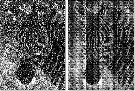 Two examples of employing repeating patterns as custom halftoning patterns — you can still make out the zebra's head, but he's become a design unto himself, thanks to the patterns' effects.