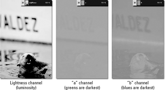 The contents of the luminosity channel and the a and b color channels after converting the original image to Lab mode