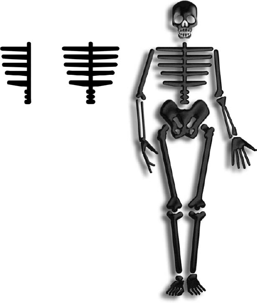 Periodically pressing and releasing the Shift key allowed me to define the ribs of my thin little friend.