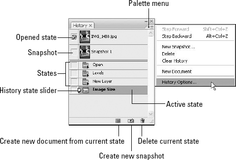 The History palette records each significant event as an independent state. To return to a state, just click it.