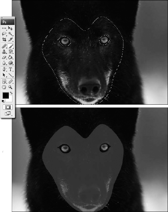 You can see the marching ants-style selection in the upper image, indicating that the eyes and most of the head are selected. Clicking the Quick Mask mode icon instructs Photoshop to express the selection temporarily as a rubylith overlay (bottom).