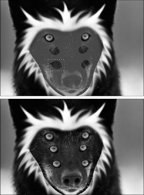 To clone the eye selections, marquee around them. Then press Ctrl+Alt (+Option on the Mac), and drag it into position below the original eye. This is done a second time and then repeated for the wolf's other eyeball (top). This makes it possible to switch out of Quick Mask mode and paint details into the new eye sockets (bottom).