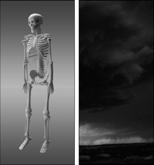 You can create a linear gradient in the Quick Mask mode to make the skeleton (left) rise from the stormy plain (right).
