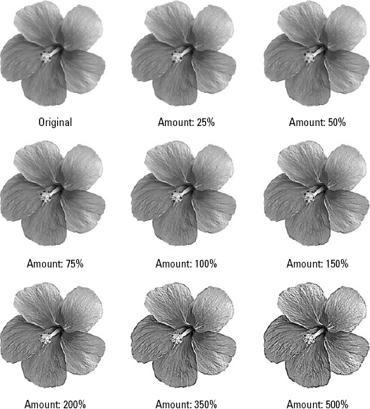 The results of sharpening an image with the Unsharp Mask filter using eight different Amount values. The Radius and Threshold values used for all images were 1.0 and 0, respectively.