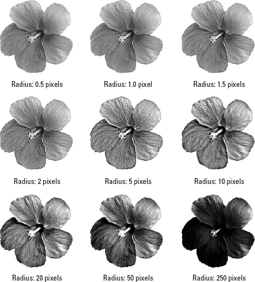 These images show the results of applying eight different Radius values, ranging from precise edges to very soft. The upper-left image is the original, untouched by any filter.