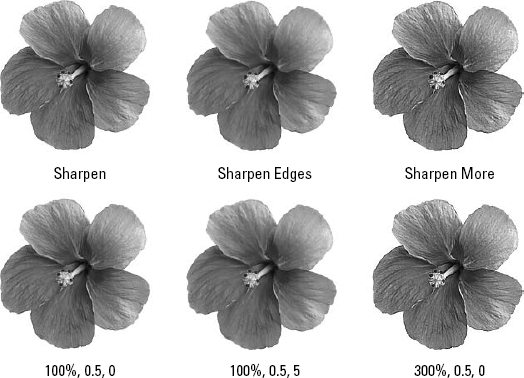 These images show the effects of the three preset sharpening filters (top row) compared with the Unsharp Mask equivalents (bottom row). Unsharp Mask values are listed in the following order: Amount, Radius, Threshold.