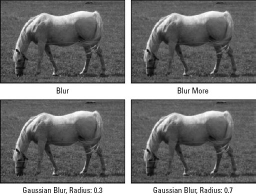 This figure shows the effects of the two preset blurring filters (top row) compared with their Gaussian Blur equivalents (bottom row), which are labeled according to Radius values.