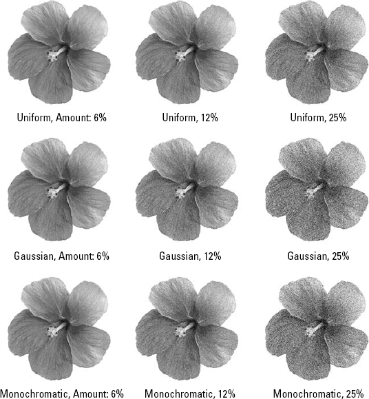 The Gaussian option (middle row) produces more pronounced effects than the Uniform option (top) at identical Amount values. Select the Monochromatic check box to apply noise evenly to all channels (bottom).