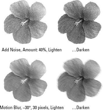 You can limit the Add Noise filter to strictly lighter (top, 40 percent Add Noise, Lighten mode) or darker (bottom, 40 percent Add Noise, Darken mode) noise by applying the filter to a layered clone.