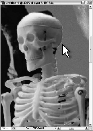 This enlarged detail of a newly inserted skeleton layer demonstrates the extra, unwanted pixels that can accompany gross selections like those made with the Lassos or the Magic Wand.