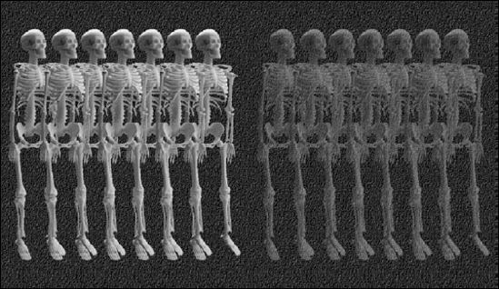 Skeletons at 100% Opacity (left) and faded by 50% (right) directly beneath the Opacity field