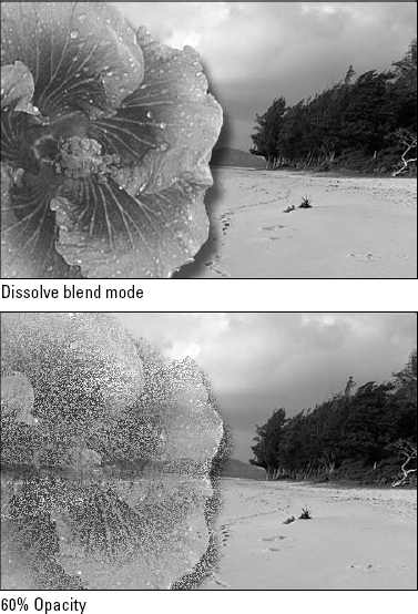 Here the Dissolve mode has been applied to the hibiscus layer at an Opacity setting of 100 percent (top) and 60 percent (bottom). Instead of creating translucent pixels, Dissolve turns pixels on and off to simulate transparency.
