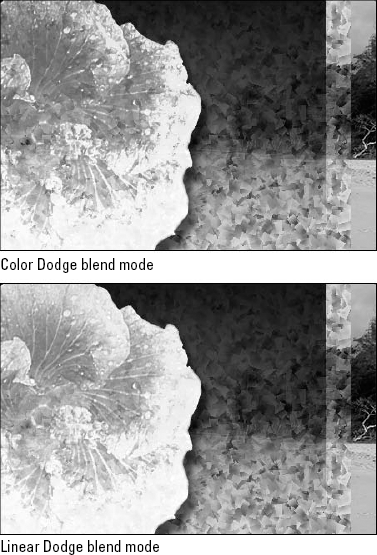 Color Dodge (top) and Linear Dodge (bottom) are never subtle. Both modes simultaneously bleach the image and draw out some of the dark outlines from the Confetti pattern.