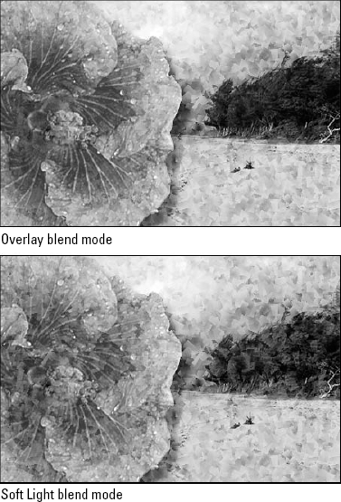 With the pattern layer in front of the flower, the Overlay mode (top) was applied, and its Opacity setting changed to 50%. Next we set the pattern layer to Soft Light mode with an Opacity of 100%.