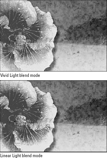 Here you see the effect of setting the flower to the Vivid Light (top) and Linear Light (bottom) modes. Because the effects are so intense, the flower was sandwiched between a Soft Light pattern layer and a Screen gradient layer, each with Opacity settings of 50%.