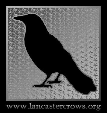 The final product has the crow layer's knockout option set to Deep and a gradient Stroke layer effect.