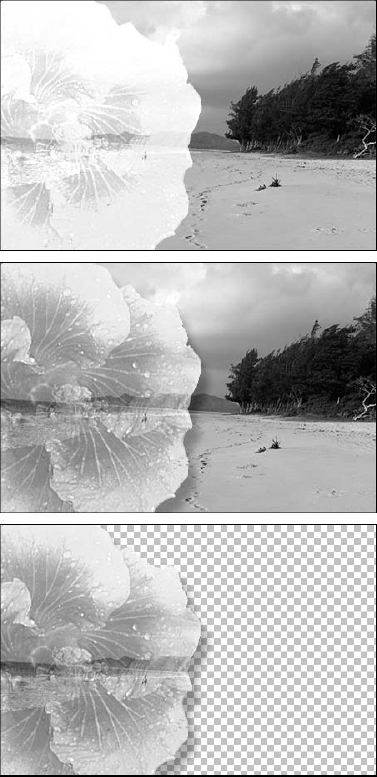 Here you see two applications of the Add blend mode from inside the background image (top and middle), each subjected to different Scale and Offset values. When adding an image into an independent layer, Add always preserves transparency (bottom).