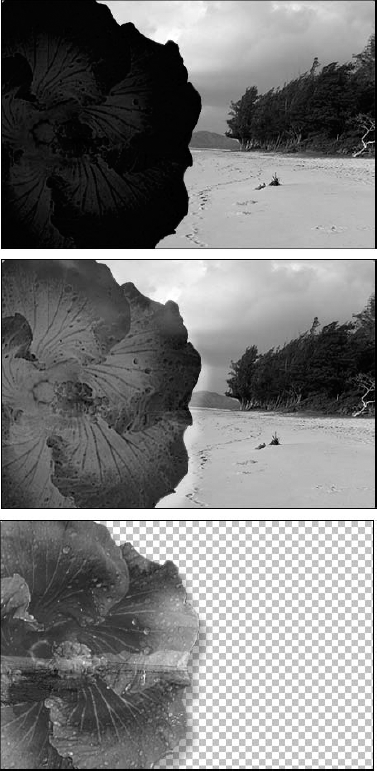 The Subtract command was used on the background image: The top image shows Scale and Offset values of 1 and 0, and the middle shows values of 1.2 and 100. When subtracting into the flower layer, Subtract not only respects the transparency mask but also delivers a very different result (bottom).