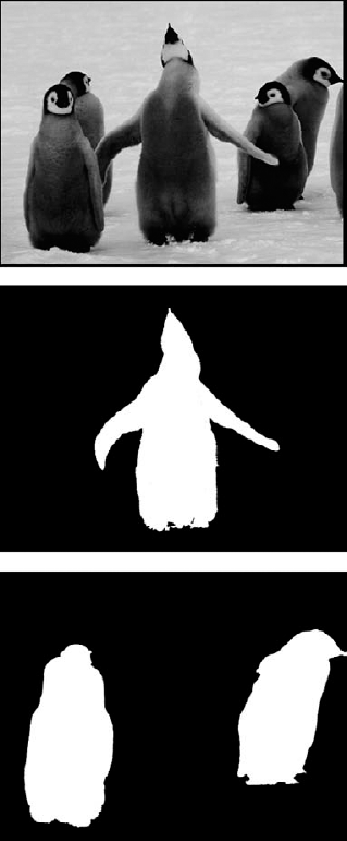 Here's our original photo, followed by two selections expressed as grayscale images (also known as masks). The joyous, skyward-looking penguin serves as the first source; the penguins behind him are the second source.