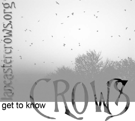 The word "CROWS" and a Web address were turned into selections in Figure 16.1 and then copied into this image, bringing their background with it. An additional type layer was created and placed on top of the selections and a new photo layer.