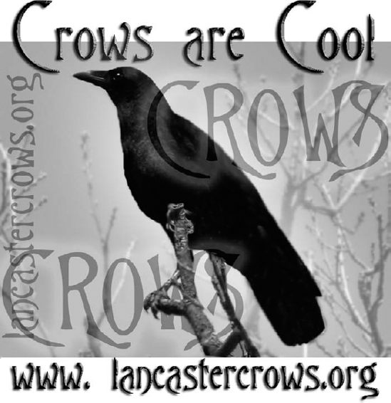 Text from Figure 16.1 has had a variety of layer styles applied to it. The less-opaque word "Crows" has an outer glow, and the black text layers have a soft chisel emboss.
