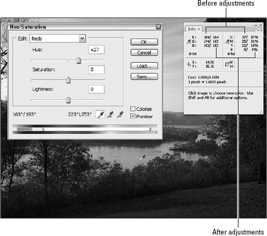 When you move the Eyedropper outside a color adjustment dialog box and into the image window, the Info palette lists the color values of the pixel beneath the cursor before and after the adjustment.