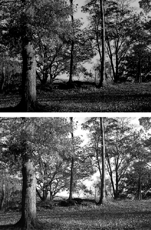 Here are the before (top) and after (bottom) images. The underexposure resulting in darks that hide details can be remedied by increasing the exposure and increasing Offset and Gamma just a tiny bit.