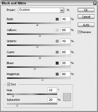 Quickly turn a color photo to black and white or a duotone, using any one of the presets and/or the channel sliders.